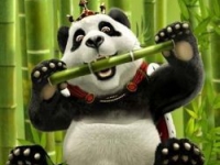 50% bonus bij Royal Panda