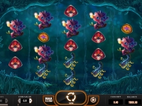Magic Mushrooms
