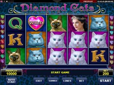 Diamond Cats