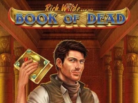 Zo speel je de Book of Dead gokkast