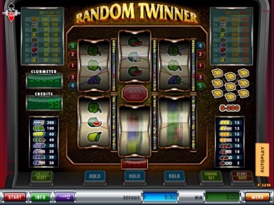 Random Twinner