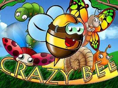 Crazy Bee