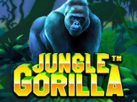 Mis Jungle Gorilla van Pragmatic Play niet!