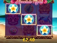 Red Tiger lanceert Honolulu Nights!