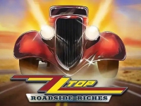 ZZ Top Roadside Riches