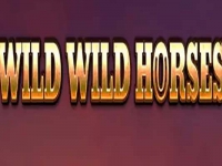 Wild Wild Horses