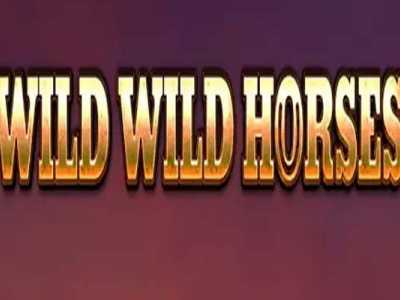 Wild Wild Horses