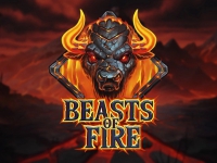 Ontdek Beasts of Fire van Play N GO!