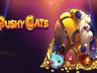 Pushy Cats