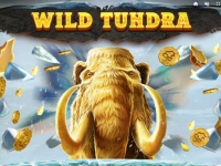 Wild Tundra