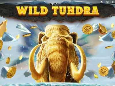 Wild Tundra